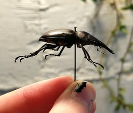 20220227_171343_exported_5231