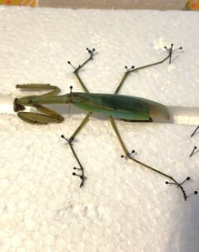 20220417_133144_exported_117522