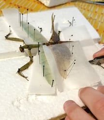 20220417_141852_exported_462